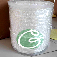 polyester solid braided rope